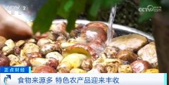 签子馒头又有了新的创