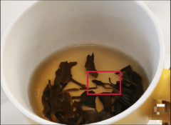 我发觉的时候简曲至极