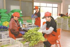 扫码查看蔬菜种植的全过程、扫码查看进口食物